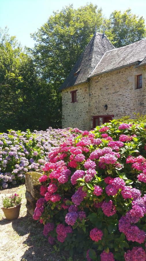 Chateau De Bellefond Lagraulière Eksteriør bilde